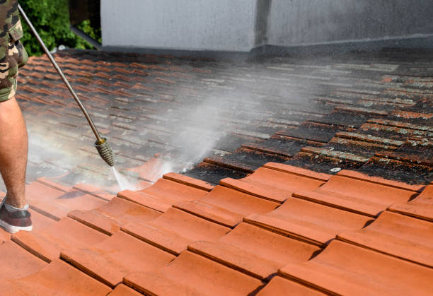 Best Best Pressure Washing Companies  in South Holland, IL