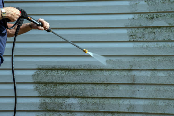 Best Deck Pressure Washing  in South Holland, IL