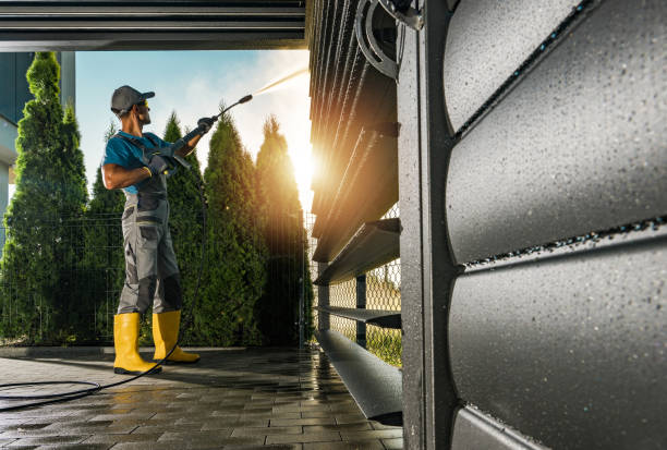 Best Deck Cleaning Services  in South Holland, IL