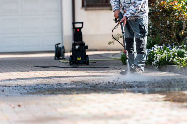 Best Local Pressure Washing Services  in South Holland, IL