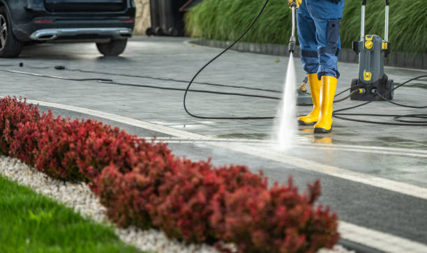 Best Fence Pressure Washing  in South Holland, IL