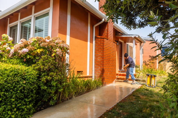 Best Local Pressure Washing Services  in South Holland, IL