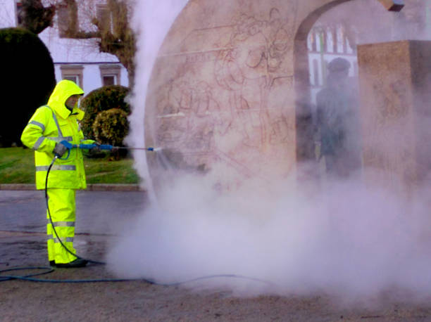 Best Affordable Power Washing  in South Holland, IL