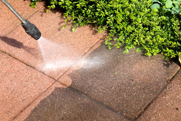 Best Power Washing Near Me  in South Holland, IL