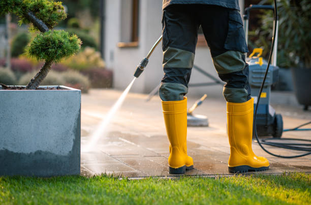 Best Deck Cleaning Services  in South Holland, IL